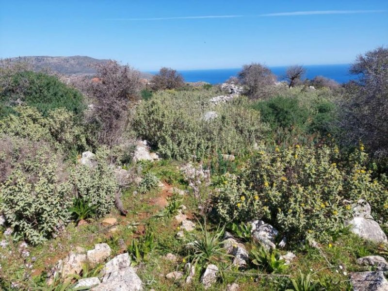 Kefalas Chania Kreta, Kefalas Chania: Atemberaubendes Grundstück mit Meerblick zum Verkauf Grundstück kaufen